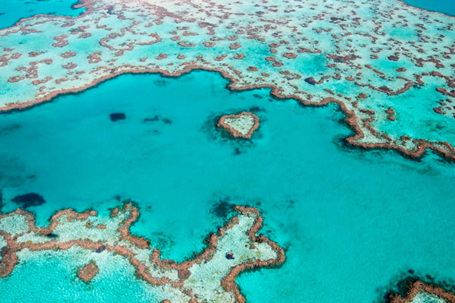 Gran Barrera del Coral, un destno privilegiado natural