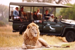 botswana safaris 900x600 1